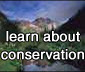 learn about conservation