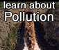 learn about pollution