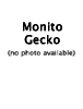 Monito Gecko